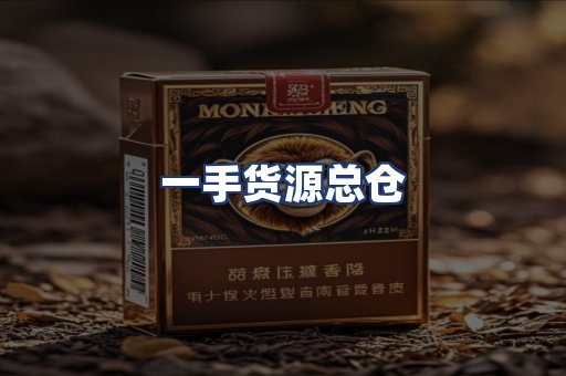 一手货源总仓